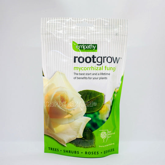 Informasjon om Mycorrhizal Fungi
