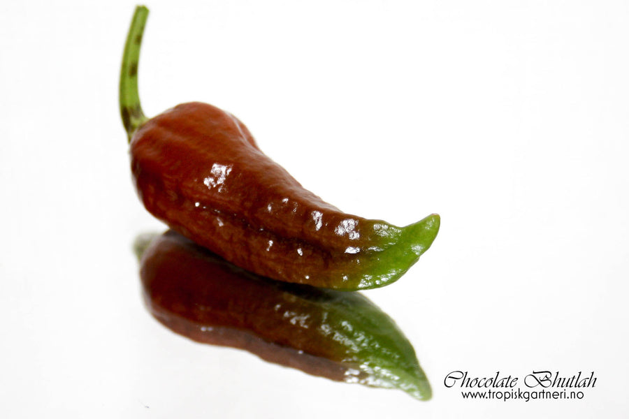 Fotomagnet Chocolate Bhutlah
