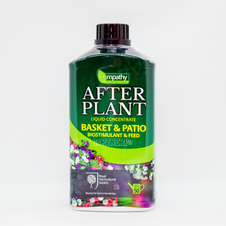 After Plant - Basket & Patio