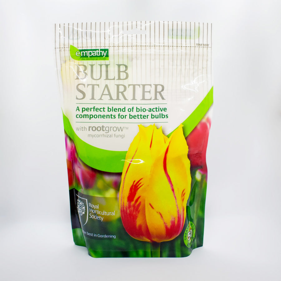 Bulb Starter