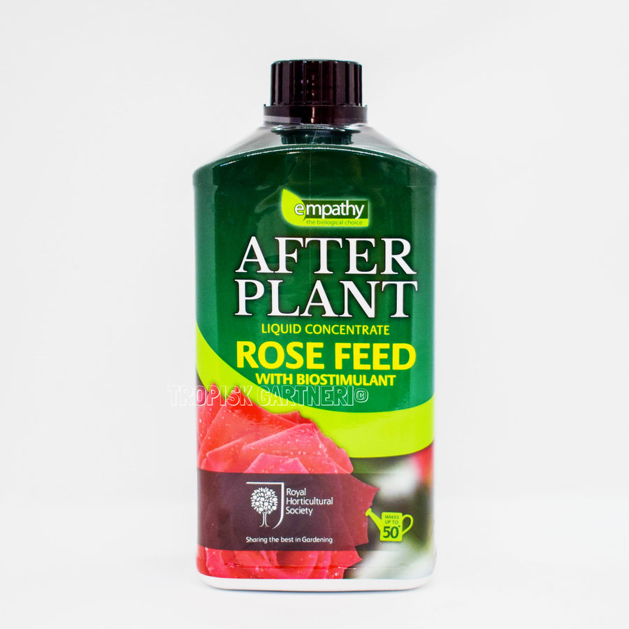 After Plant - Rose Feed